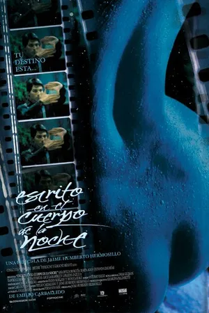 Постер к фильму Написанное на теле ночи (2001)