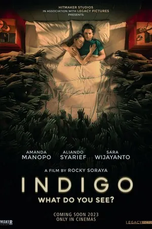 Постер к фильму Индиго (2023)