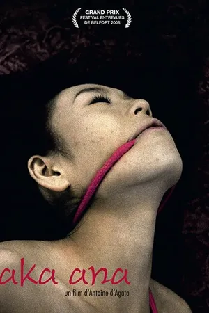 Постер к фильму Красная дыра (2008)