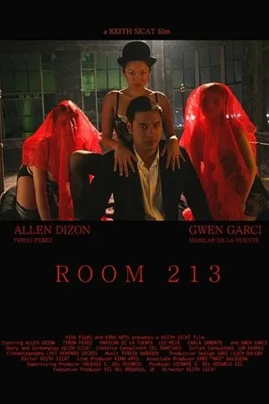 Постер к фильму Room 213 (2008)
