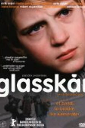 Постер к фильму Шрамы (2002)