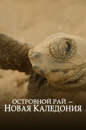 Постер к фильму Островной рай – Новая Каледония (2020)