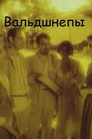 Постер к фильму Вальдшнепы (1996)