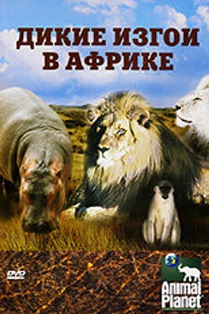 Постер к фильму Animal Planet: Дикие изгои в Африке (2006)