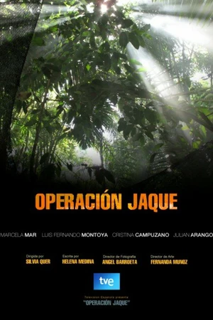 Постер к сериалу Операция Шах (2010)