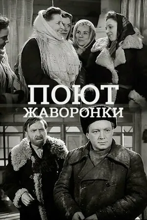 Постер к фильму Поют жаворонки (1953)