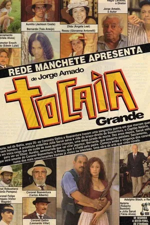 Постер к сериалу Большая засада (1995)