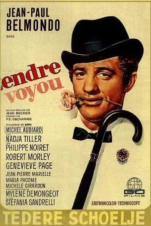 Постер к фильму Нежный проходимец (1966)