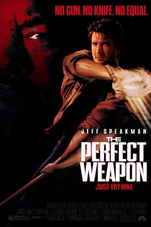 Постер к фильму Совершенное оружие (1991)