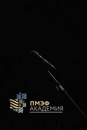 Постер к сериалу Академия ПМЭФ (2023)