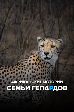 Постер к сериалу Африканские истории семьи гепардов (2020)
