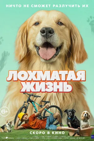 Постер к фильму Лохматая жизнь (2023)