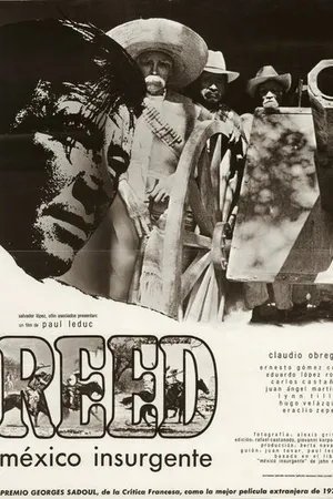 Постер к фильму Мексиканский повстанец (1972)