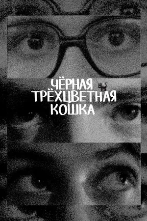 Постер к фильму Чёрная трёхцветная кошка (-)