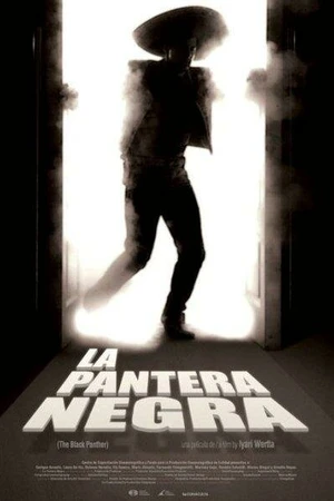 Постер к фильму Черная пантера (2010)