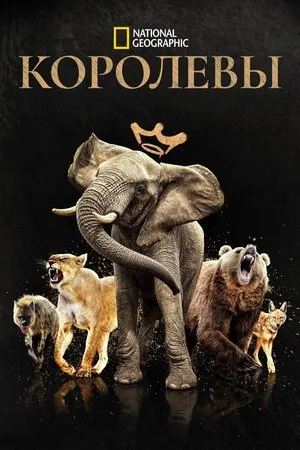 Постер к сериалу Королевы (2024)
