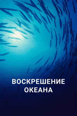 Постер к фильму Воскрешение океана (2015)
