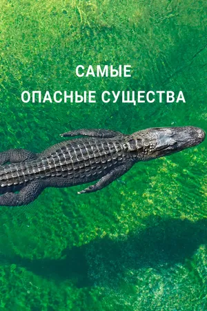 Постер к фильму Самые опасные существа (2021)