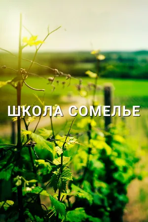 Постер к фильму Школа сомелье (2016)