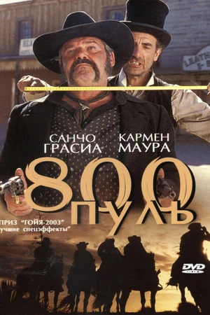 Постер к фильму 800 пуль (2002)