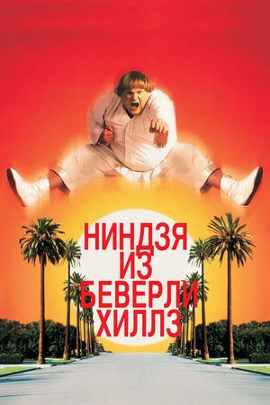Постер к фильму Ниндзя из Беверли-Хиллз (1997)