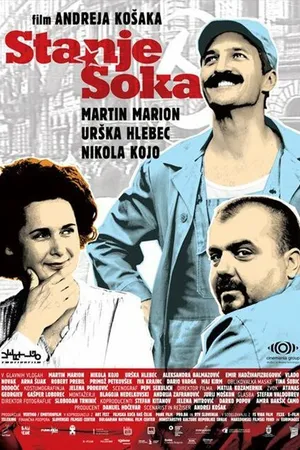 Постер к фильму Шоковое состояние (2011)