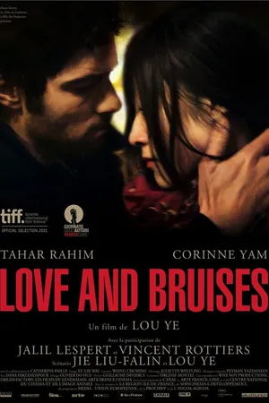 Постер к фильму Любовь и ссадины (2011)