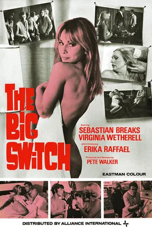 Постер к фильму The Big Switch (1968)