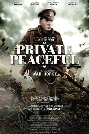 Постер к фильму Рядовой Писфул (2012)