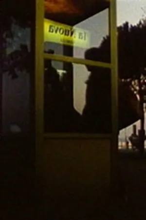 Постер к фильму Parco delle rimembranze (1987)