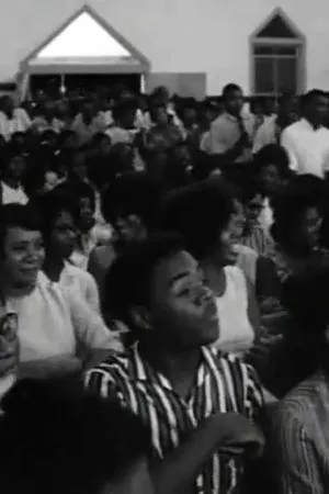 Постер к фильму Black Natchez (1967)