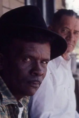 Постер к фильму Woodcutters of the Deep South (1973)