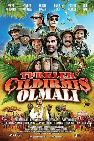 Постер к фильму Türkler Çildirmis Olmali (2009)