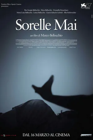 Постер к фильму Мои сестры (2010)