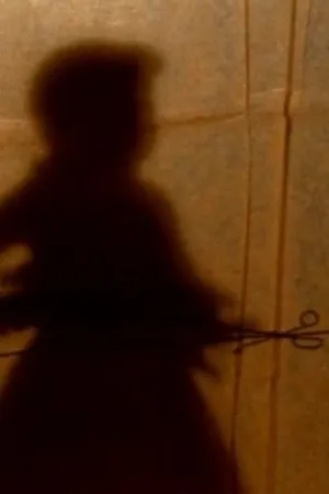 Постер к фильму The Secret Story (1996)