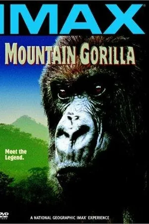 Постер к фильму Mountain Gorilla (1992)
