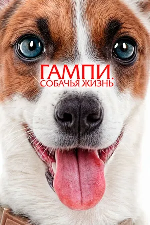 Постер к фильму Гампи. Собачья жизнь (2024)