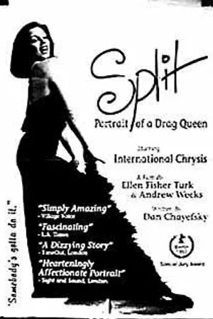 Постер к фильму Split (1993)
