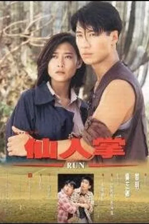 Постер к фильму Латинская стычка (1994)