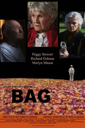 Постер к фильму The Bag (2010)