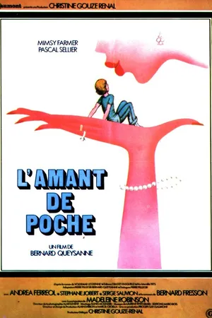 Постер к фильму Карманный любовник (1978)