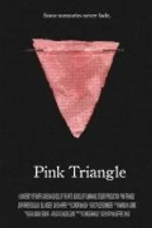 Постер к фильму Pink Triangle (2010)