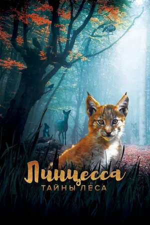 Постер к фильму Линцесса. Тайны леса (2023)