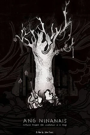 Постер к фильму Ang ninanais (2010)