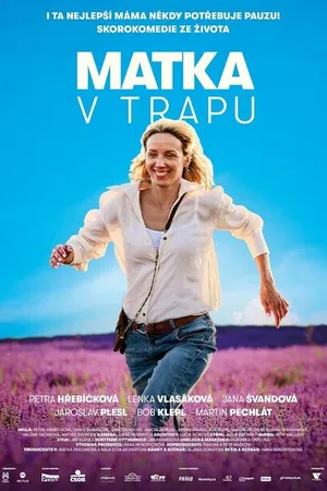 Постер к фильму Мать в ловушке (2024)
