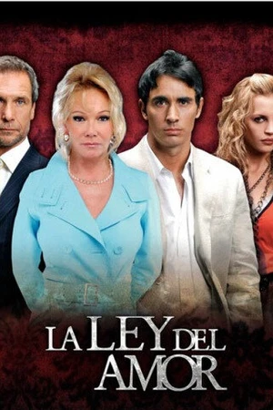 Постер к сериалу Закон любви (2006 - 2007)