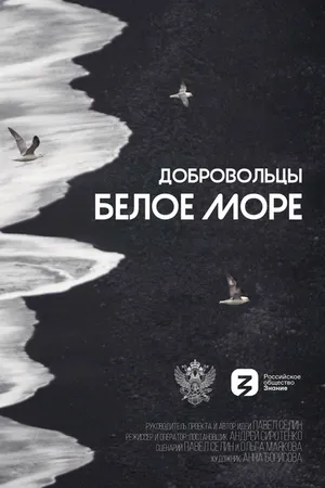 Постер к сериалу Добровольцы. Белое море (2023)