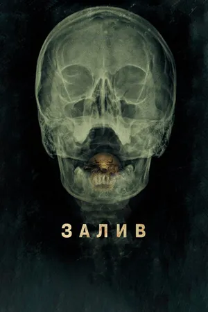 Постер к фильму Залив (2012)