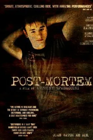 Постер к фильму После смерти (2010)