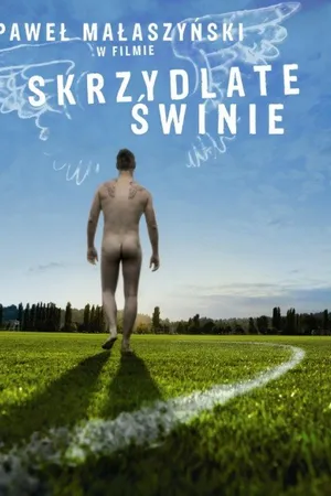 Постер к фильму Крылатые свиньи (2010)